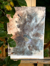 Load image into Gallery viewer, Blue Tit