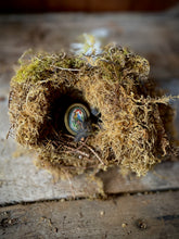 Load image into Gallery viewer, Blackbird