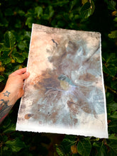 Load image into Gallery viewer, Blue Tit