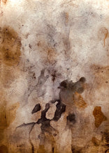 Load image into Gallery viewer, Foggy Bummers Eco Print and Watercolour of a Wren