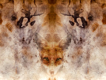 Load image into Gallery viewer, Fox