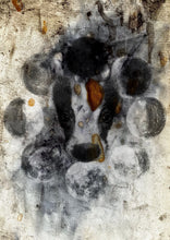 Load image into Gallery viewer, Badger