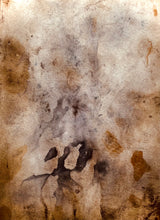 Load image into Gallery viewer, Fox