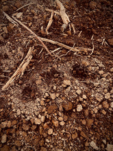 Load image into Gallery viewer, Badger