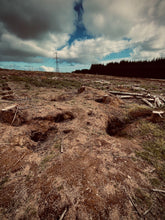 Load image into Gallery viewer, Badger