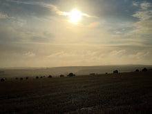 Load image into Gallery viewer, Hare