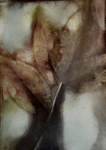 Load image into Gallery viewer, Botanical Notecards
