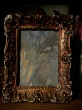 Load image into Gallery viewer, Foxglove
