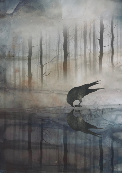 Misty forest scene with a bird over water