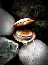 Load image into Gallery viewer, Close-up of two seashells on a textured stone surface
