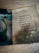 Load image into Gallery viewer, The Wee Wildling's Guide
